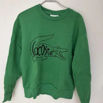 Lacoste 그린 맨투맨 트레이닝복