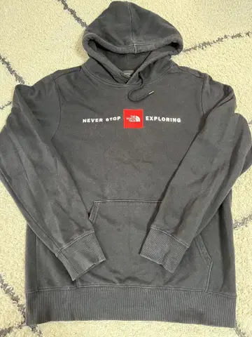 THE NORTH FACE NEVER STOP EXPLORING 후드티