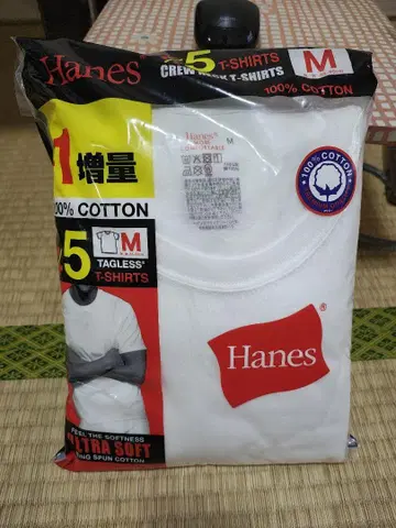 Hanes 헤인즈 GLOBAL 5 T-SHIRTS 티셔츠 5장