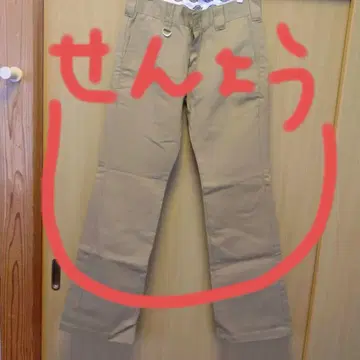 Dickies 베이지 치노 팬츠 D링 포함