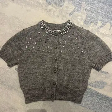 ZARA 비쥬 장식 그레이 반팔 니트 가디건