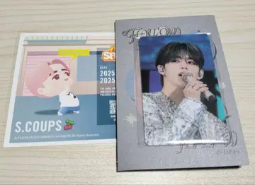 SEVENTEEN 에스쿱스