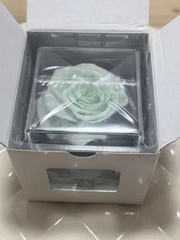 니지산지 카나에 준 브라이드