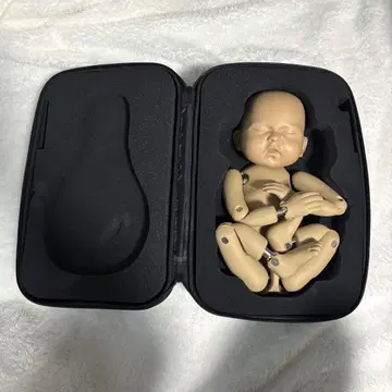 뉴본 사진 인형 연습용