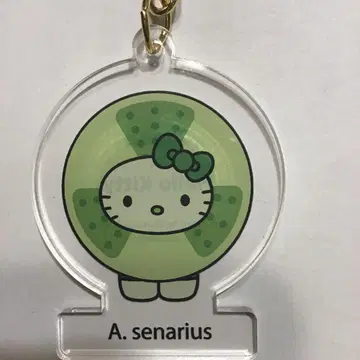 모키티 Hello Kitty 아크릴 키링 A. senarius