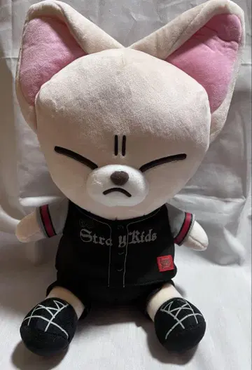 straykids 아이엔 폭시니 스타디움 사후 통신 판매
