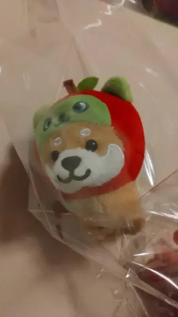 나가노 한정판 아루쿠마 마메시바 새상품