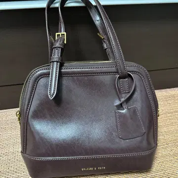 마이클 코스 브라운 핸드백