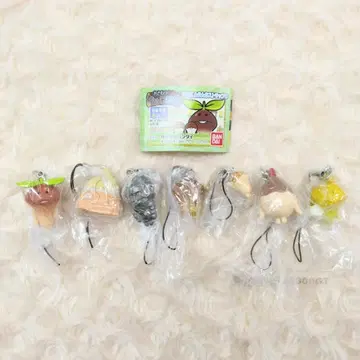 만지작 탐정 버섯 재배 키트 버섯 쿵쿵 스트랩 6종 전 7종 컴플리트