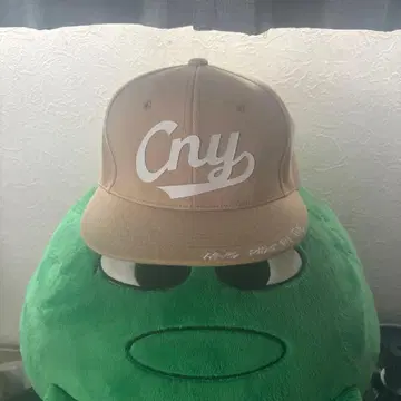 캡 자수
