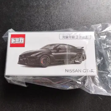 NISSAN GT-R 블랙 펄