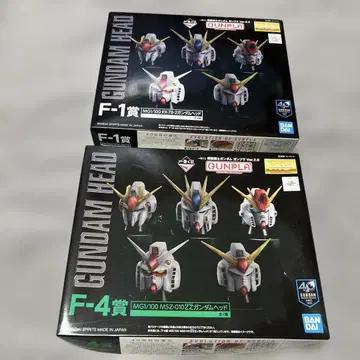 GUNDAM HEAD F-1 & F-4상 MG 1/100
