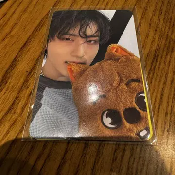straykids 한지성 팝업 트레이딩 카드