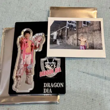 드래곤 게이트 드래곤 다이아 선수