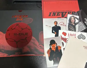 (G)I-DLE 앨범 i never die risky ver.