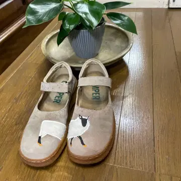 캠퍼 비대칭 '양'