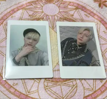팬더드래곤 하피카 요타