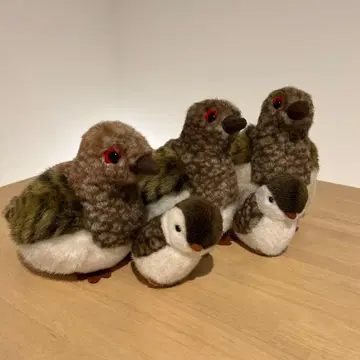 뇌조 라이쵸 봉제 인형 5체 세트
