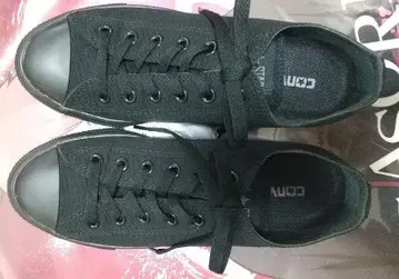 컨버스 올스타 라이트 컨버스 25cm