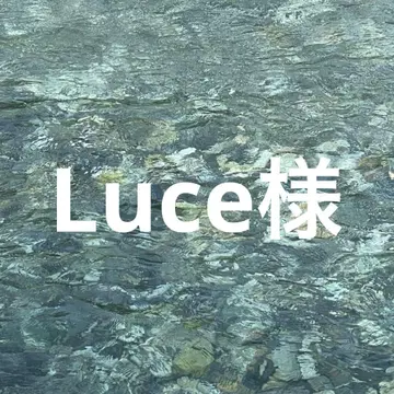 Luce 님