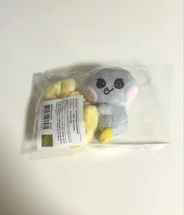RIIZE 은석  스크런치