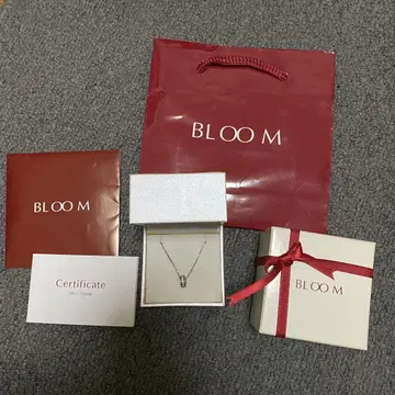 BLOOM 목걸이 실버925