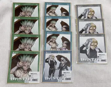 Dr.STONE 레이니데이 색지