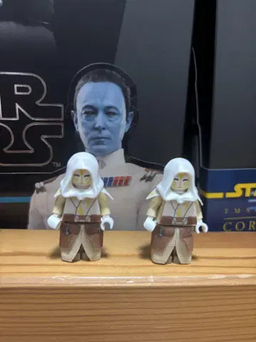 LEGO 스타 워즈 커스텀 템플 가드 2체 세트