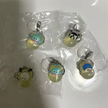 하피단브이 오이스터