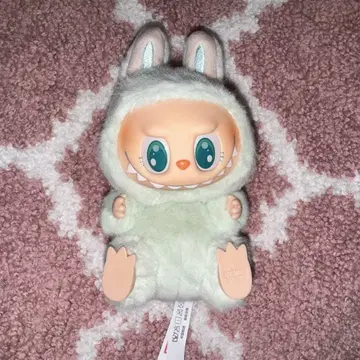 러브부 하바시트 ququ 카드 없음