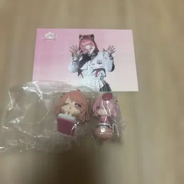 노아 씨 묶음 판매
