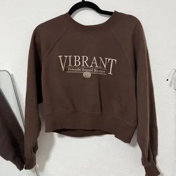 ANAP VIBRANT 크롭 맨투맨 브라운