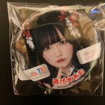 TIF2025 큐르링 해봐 신기루 아므 캔뱃지