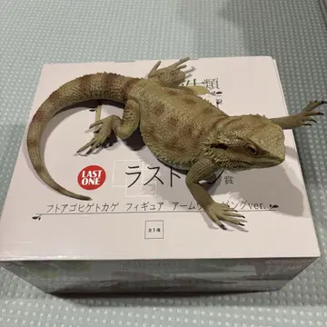 파충류&양서류 제일복권 G상 H상 라스트 원상