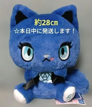[ 기념일 BIG 봉제 인형]