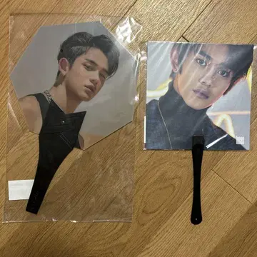 루카스 부채