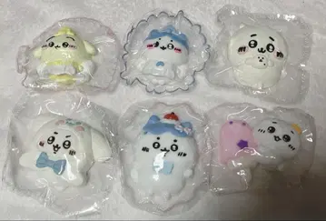 스퀴즈 세트