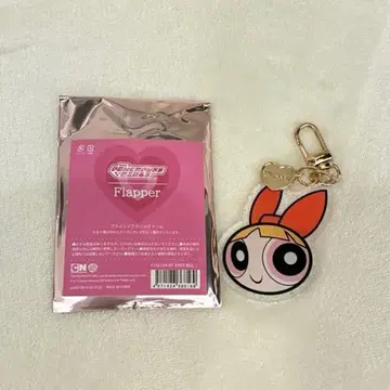 파워퍼프걸스 블로섬 블라인드 아크릴 참