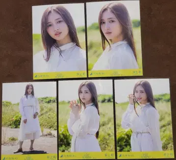 노기자카46 Same numbers 이노우에 와카 브로마이드 5종