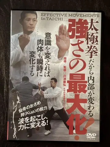 태극권 DVD 강함의 최대화!