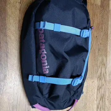 patagonia 아톰 8l