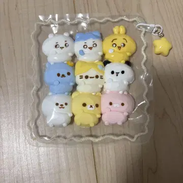 해외 스퀴즈