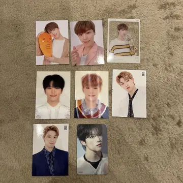 SEVENTEEN DINO 디노 공식 트레이딩 카드