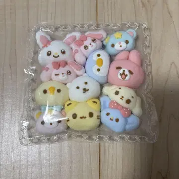 해외 스퀴즈