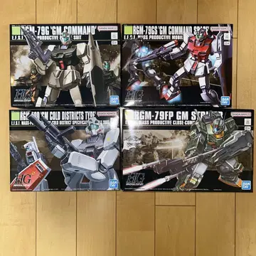 HG 짐 스트라이커 짐 커맨드 짐 커맨드 우주 사양 짐 한랭지 사양 세트