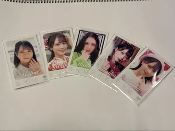 사사키 마이카 미니 사진 vol.5 노멀 컴프