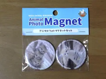 나스 동물 왕국 사막여우 마그넷 세트