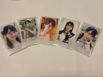 사사키 마이카 미니 사진 vol.6 노멀 컴프