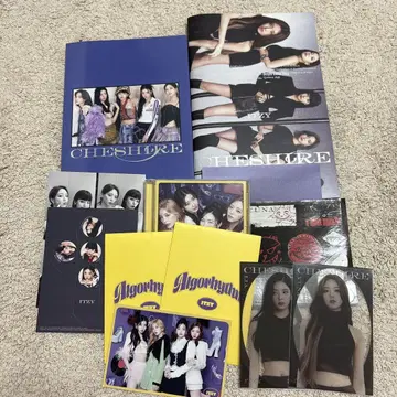 ITZY CHESHIRE 앨범 포토 카드 포함