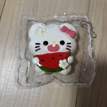 해외 스퀴즈